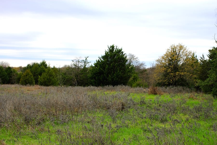 Montgomery Ranch Tract 13 photo 18