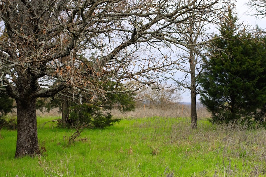 Montgomery Ranch Tract 13 photo 19