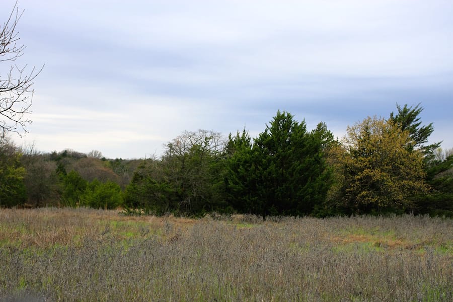 Montgomery Ranch Tract 13 photo 20