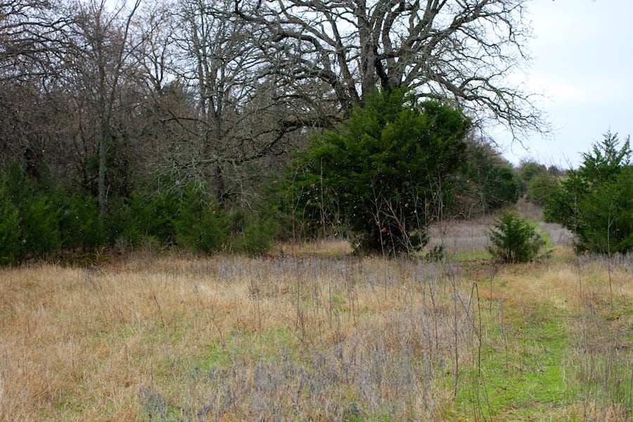 Montgomery Ranch Tract 13 photo 21