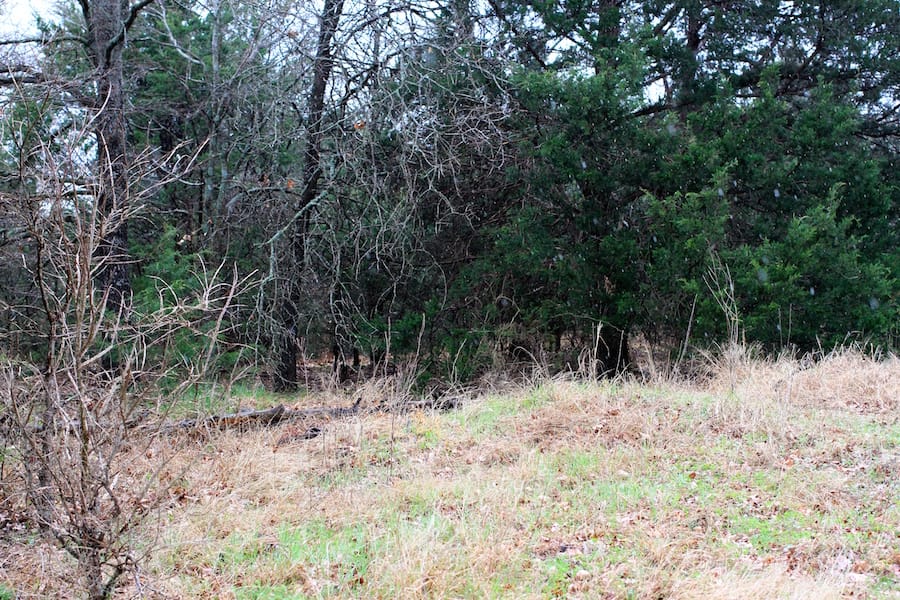 Montgomery Ranch Tract 13 photo 22