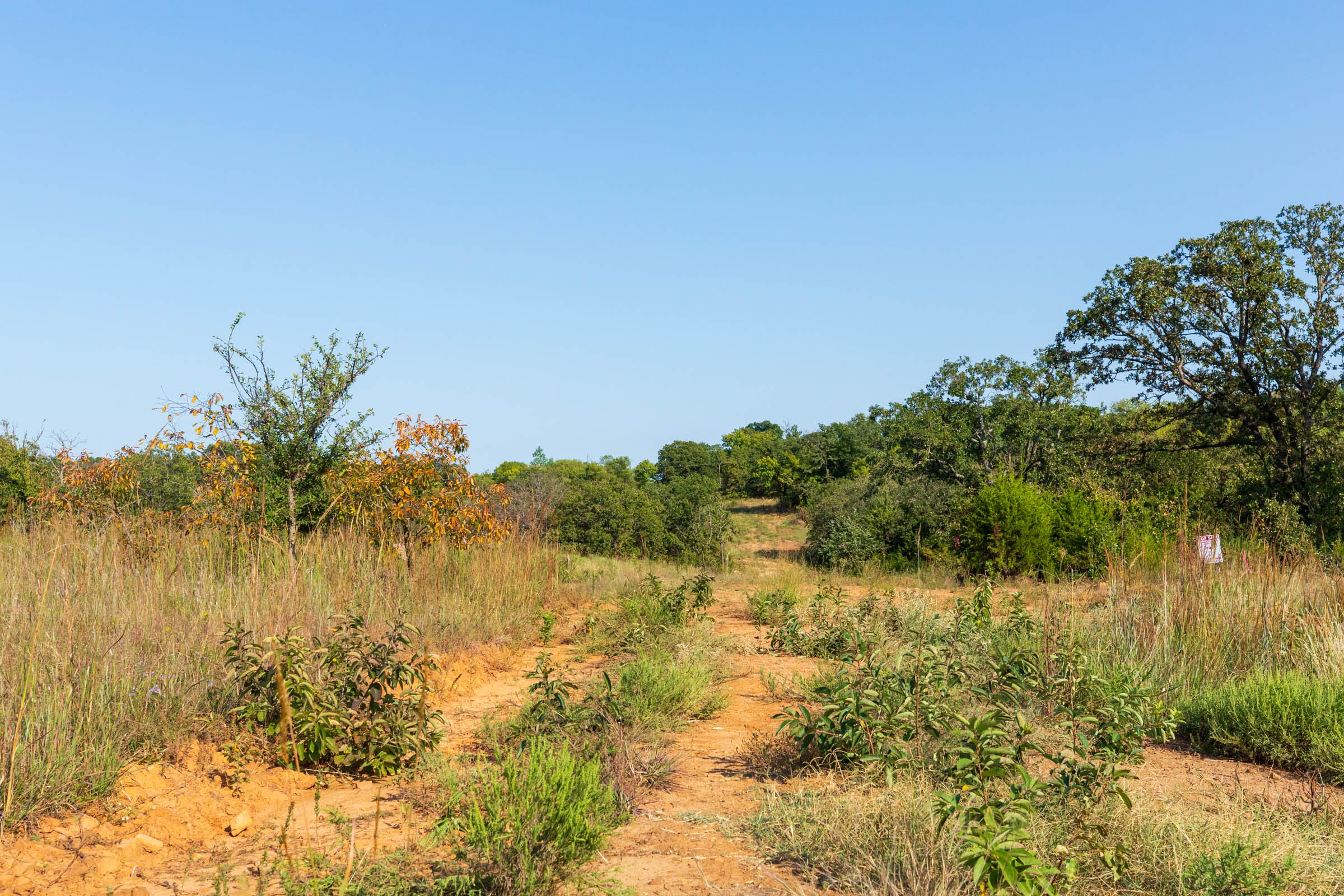 Canyon Creek Tract 18 photo 1