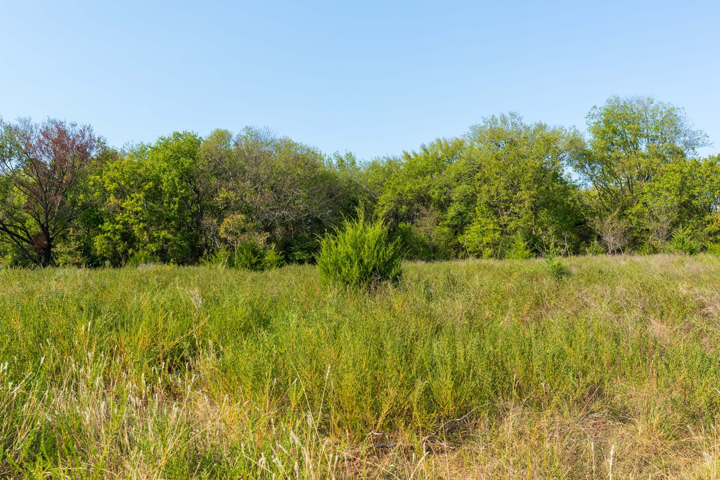 Canyon Creek Tract 18 photo 7