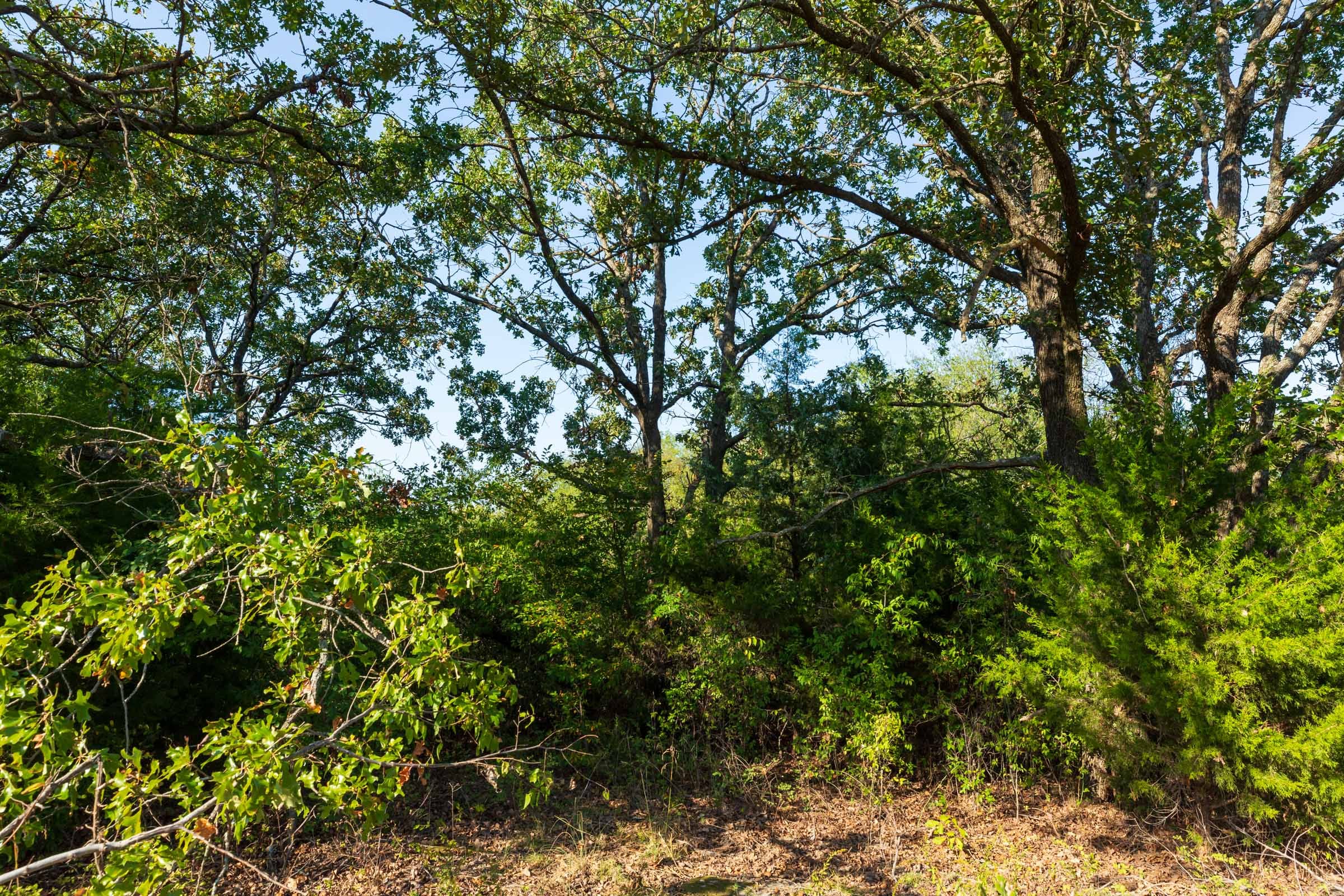 Canyon Creek Tract 18 photo 10