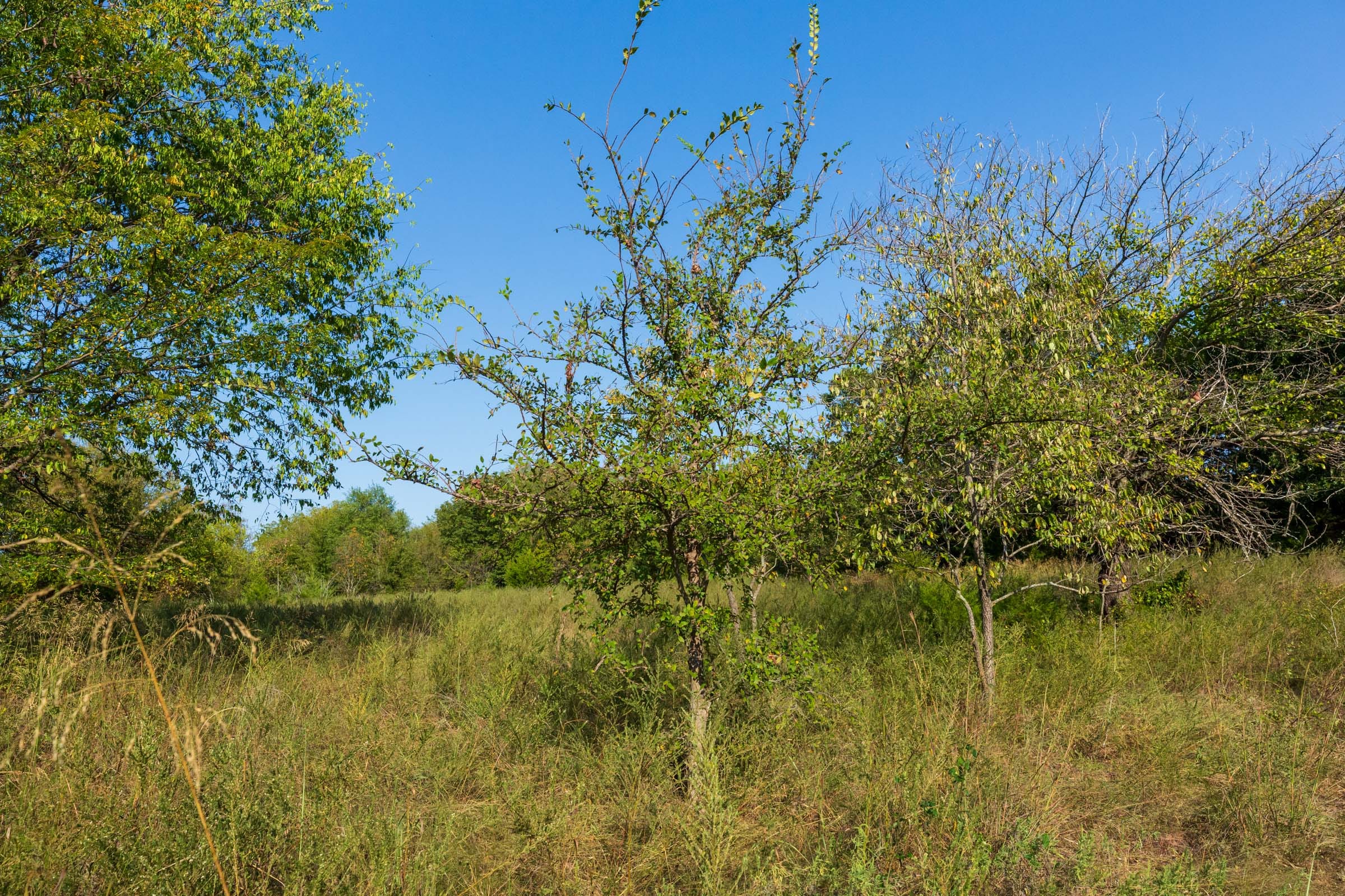 Canyon Creek Tract 18 photo 8
