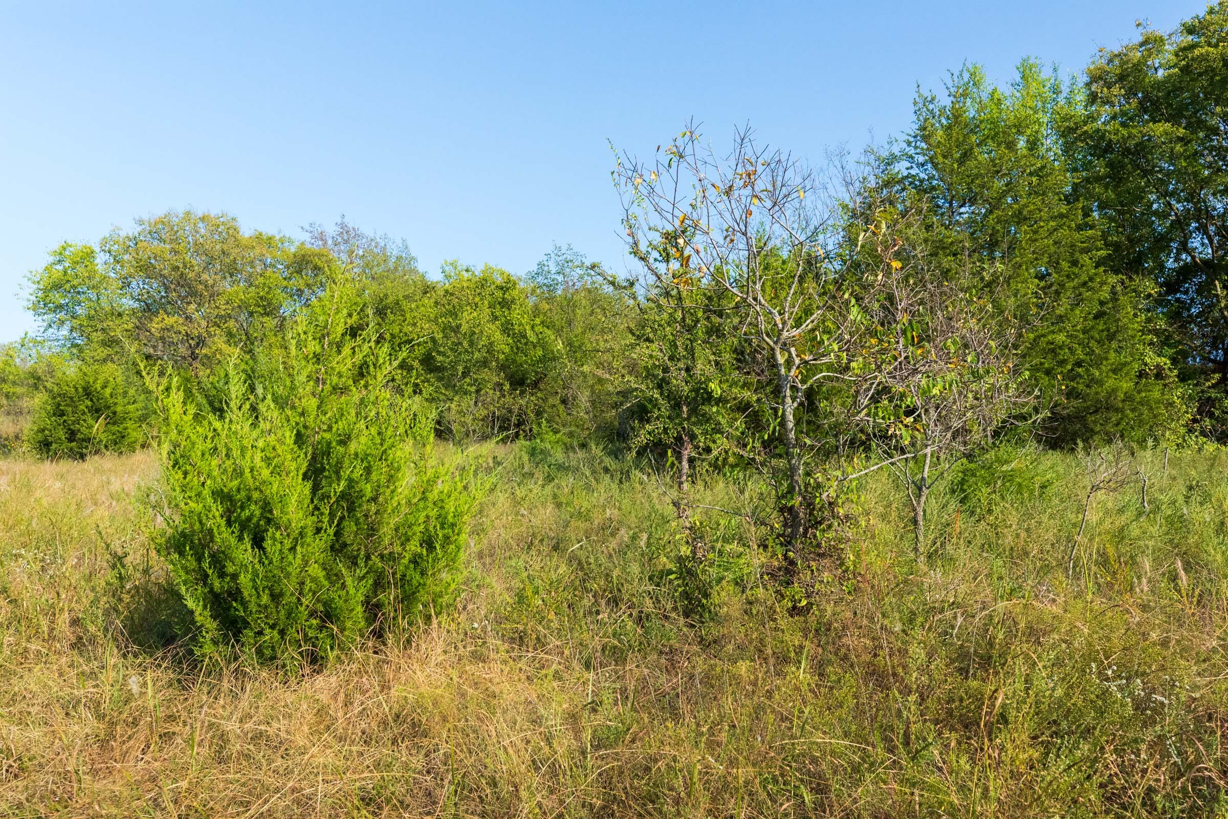 Canyon Creek Tract 18 photo 13