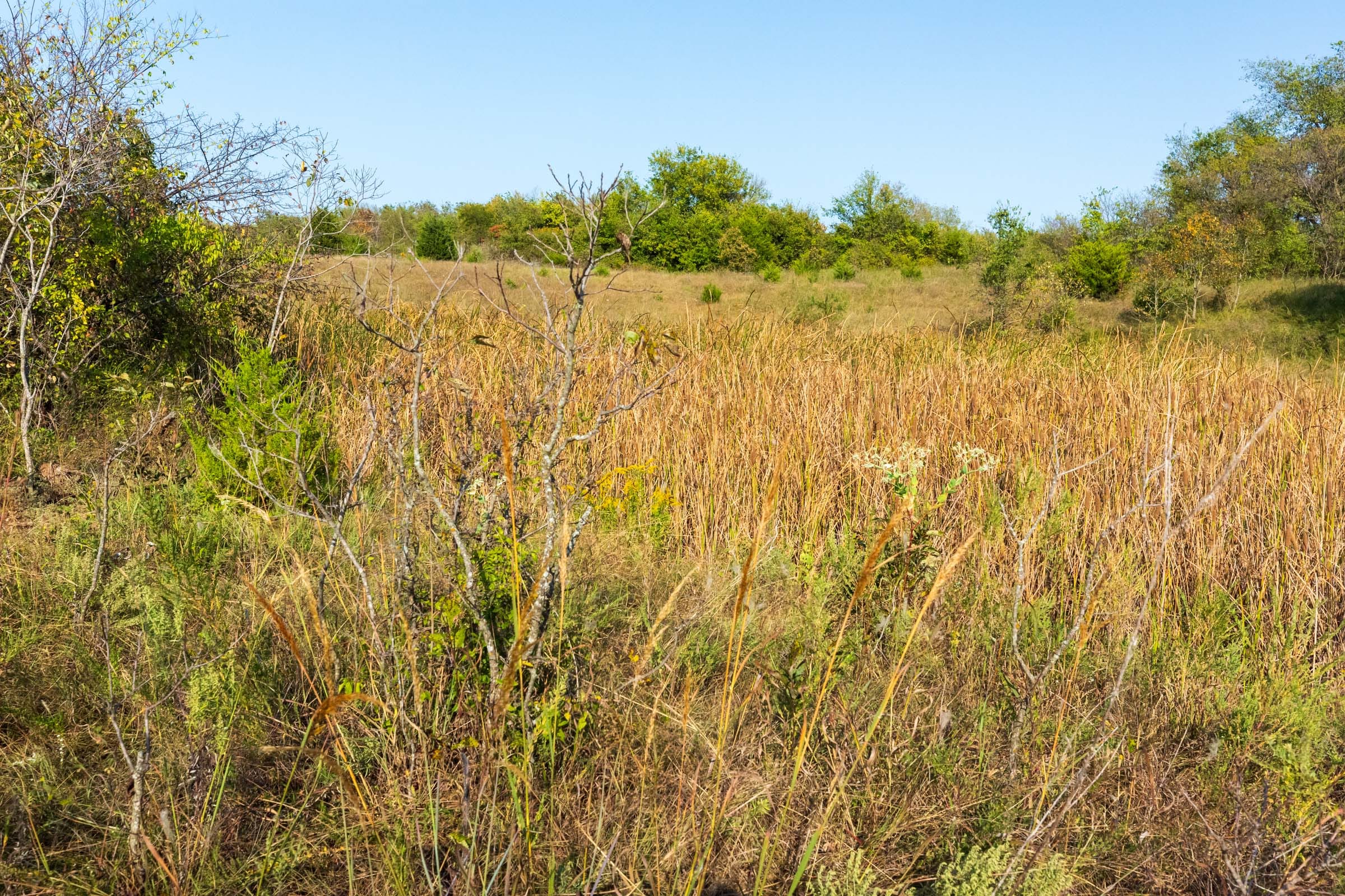 Canyon Creek Tract 18 photo 3