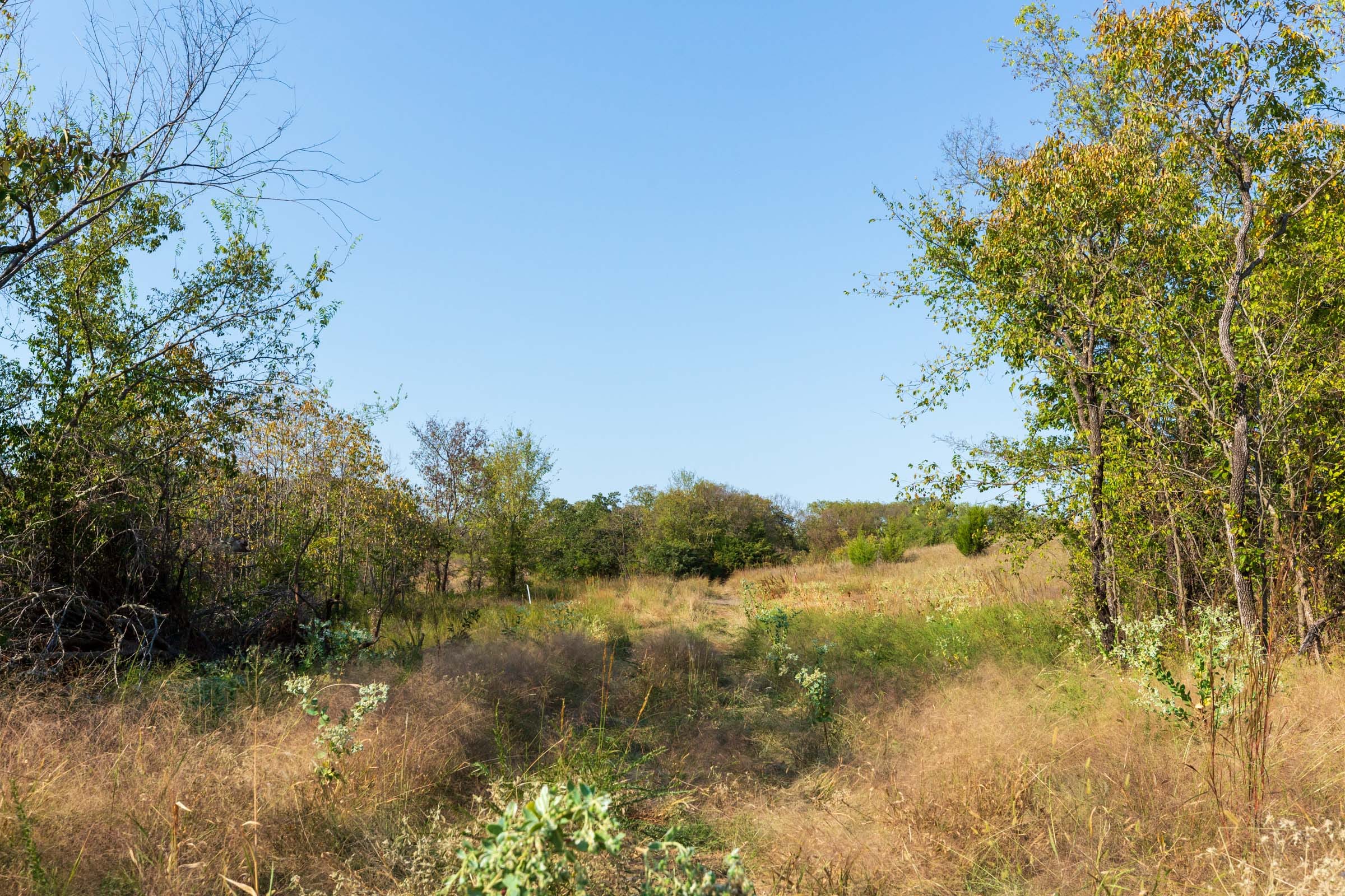 Canyon Creek Tract 18 photo 15