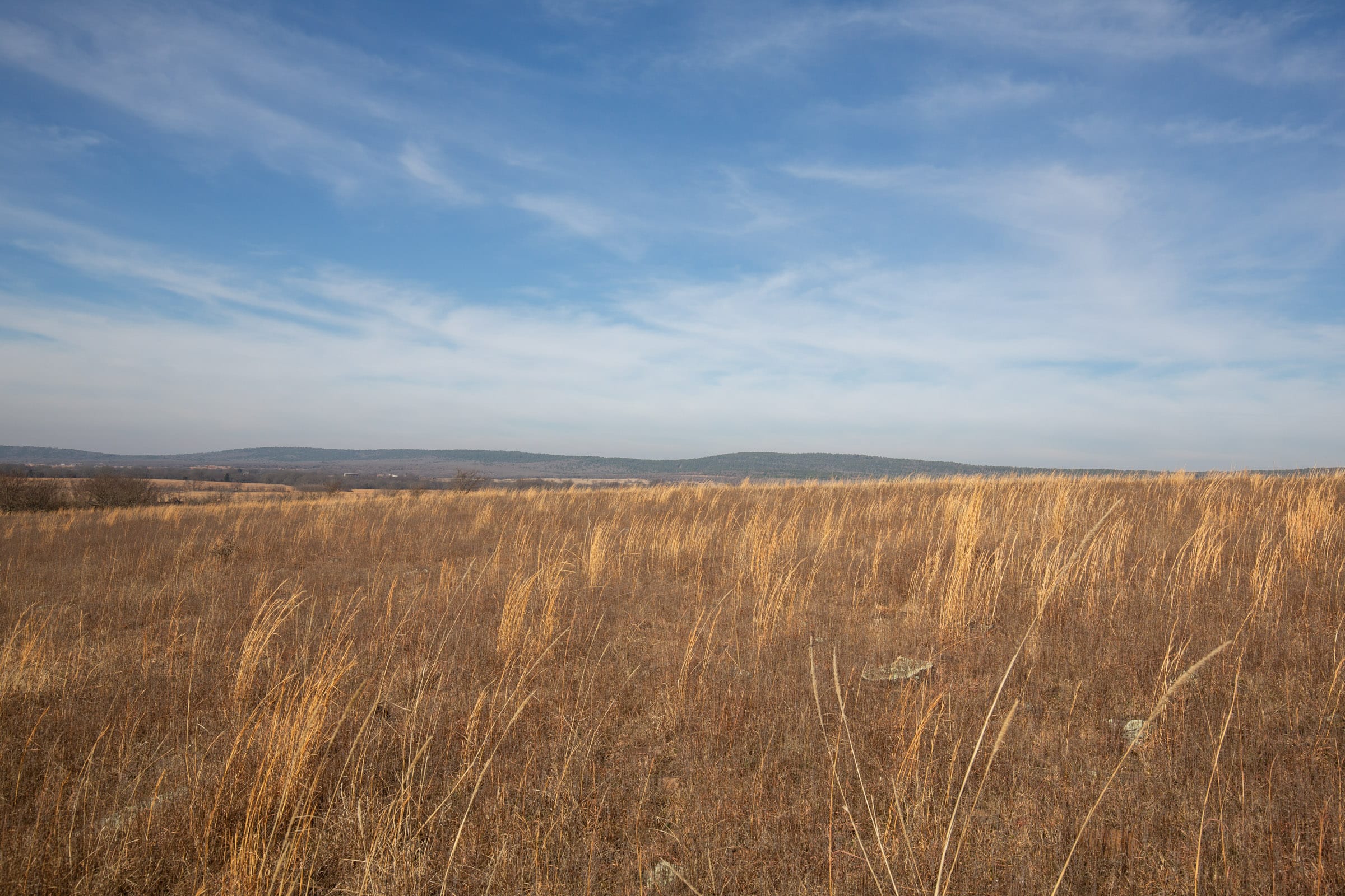 Painted Horse Tract 14 photo 1