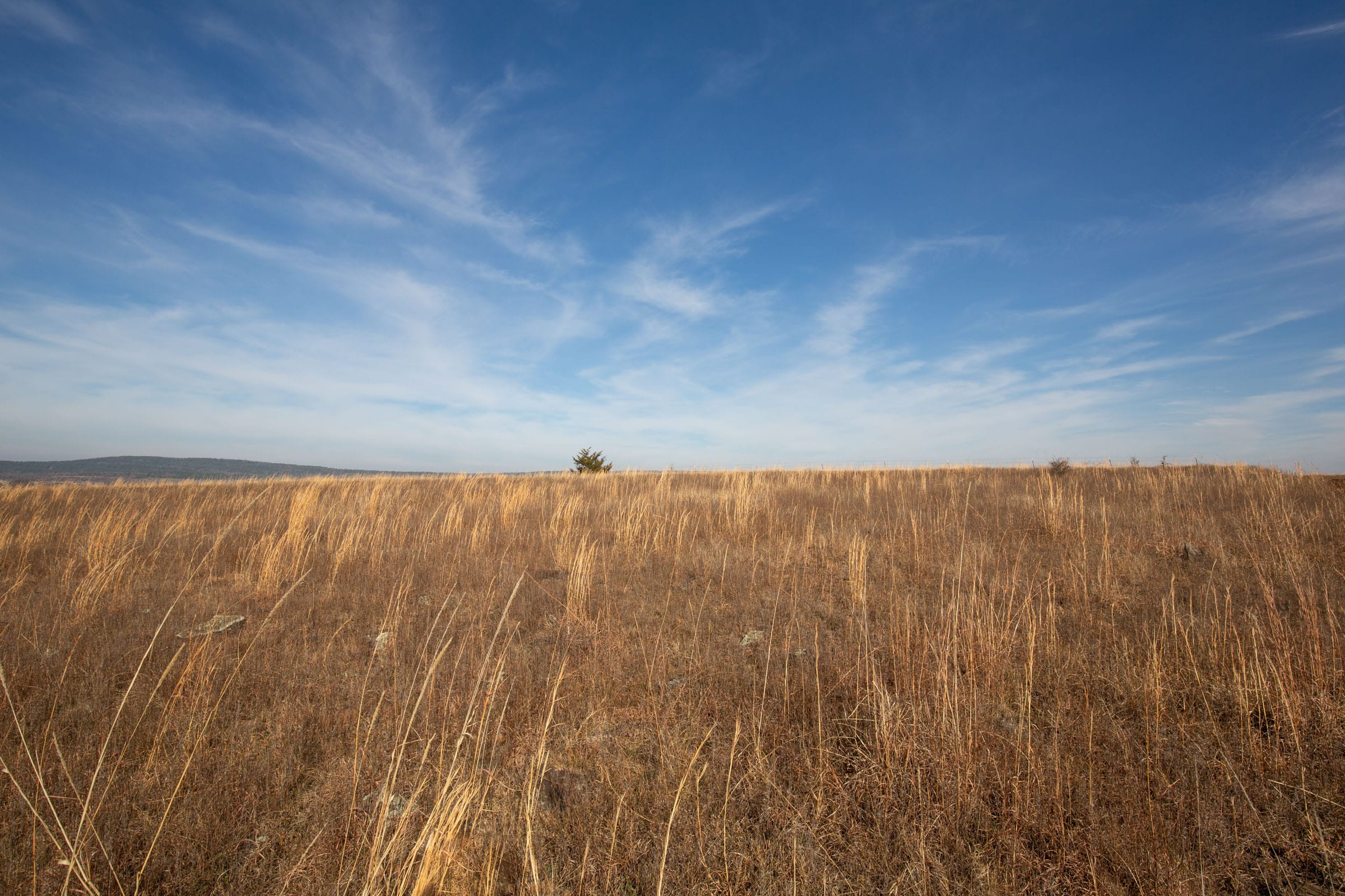 Painted Horse Tract 14 photo 2