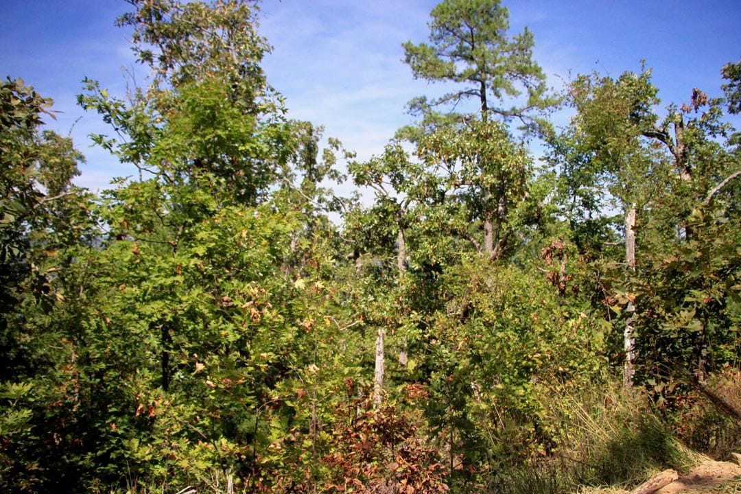 Lakeview Private Reserve Tract 18 photo 3