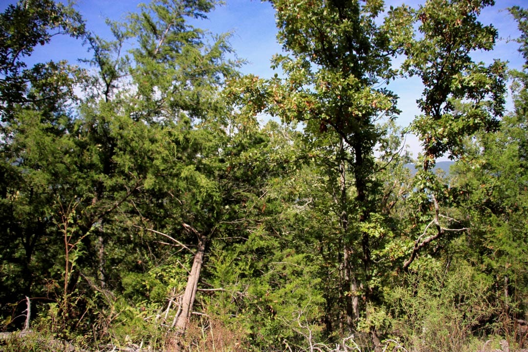 Lakeview Private Reserve Tract 18 photo 5
