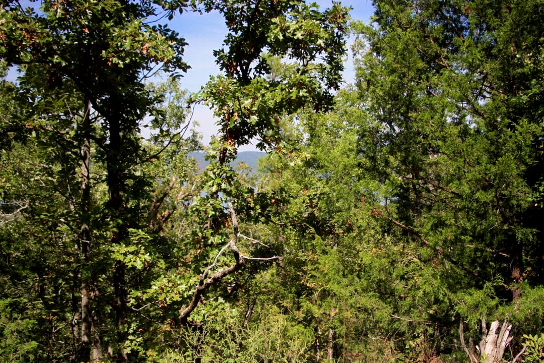 Lakeview Private Reserve Tract 18 photo 6