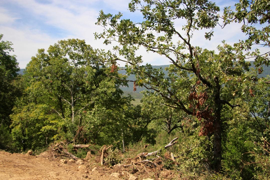 Lakeview Private Reserve Tract 18 photo 7