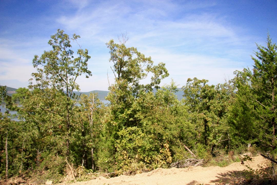 Lakeview Private Reserve Tract 18 photo 11