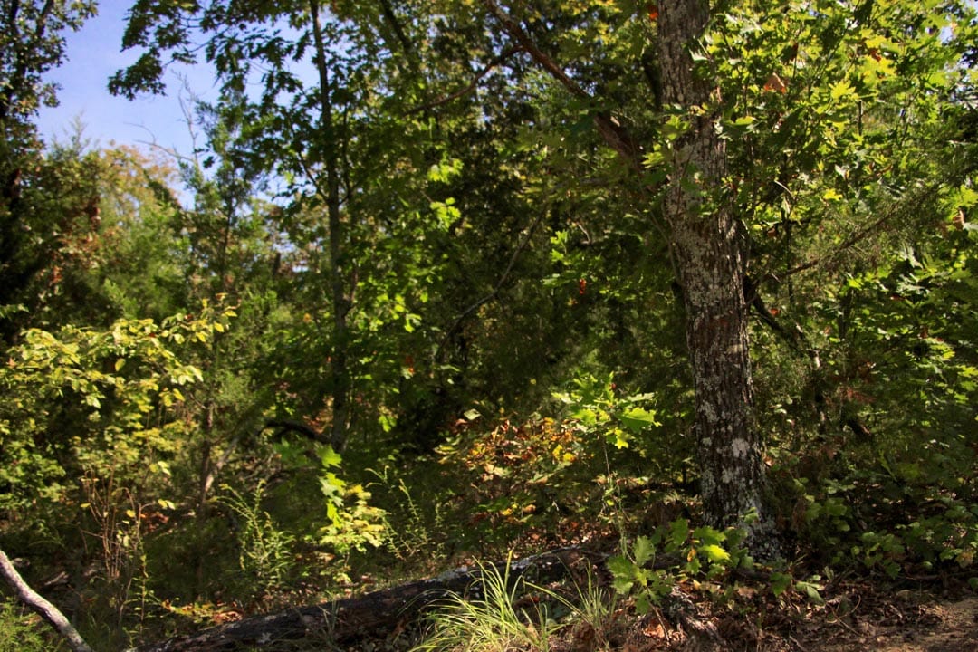 Lakeview Private Reserve Tract 18 photo 12