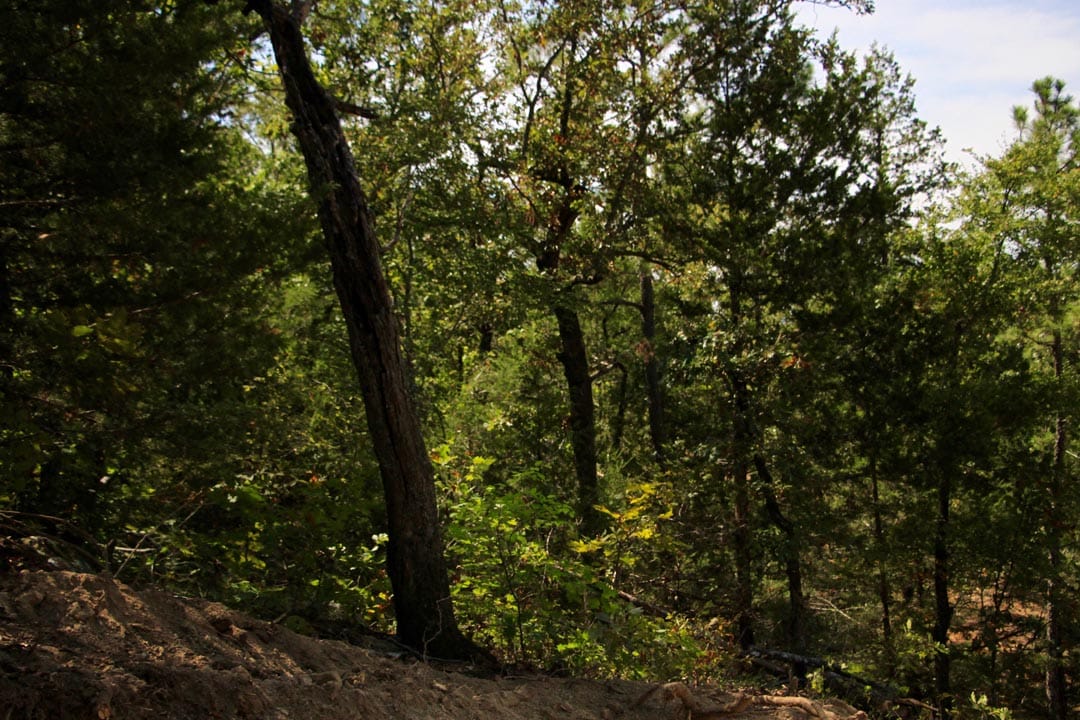 Lakeview Private Reserve Tract 18 photo 13