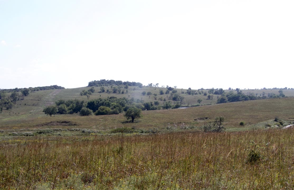 Cowboy Meadows Tract 21 photo 1