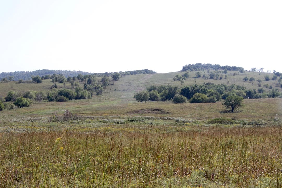 Cowboy Meadows Tract 21 photo 3