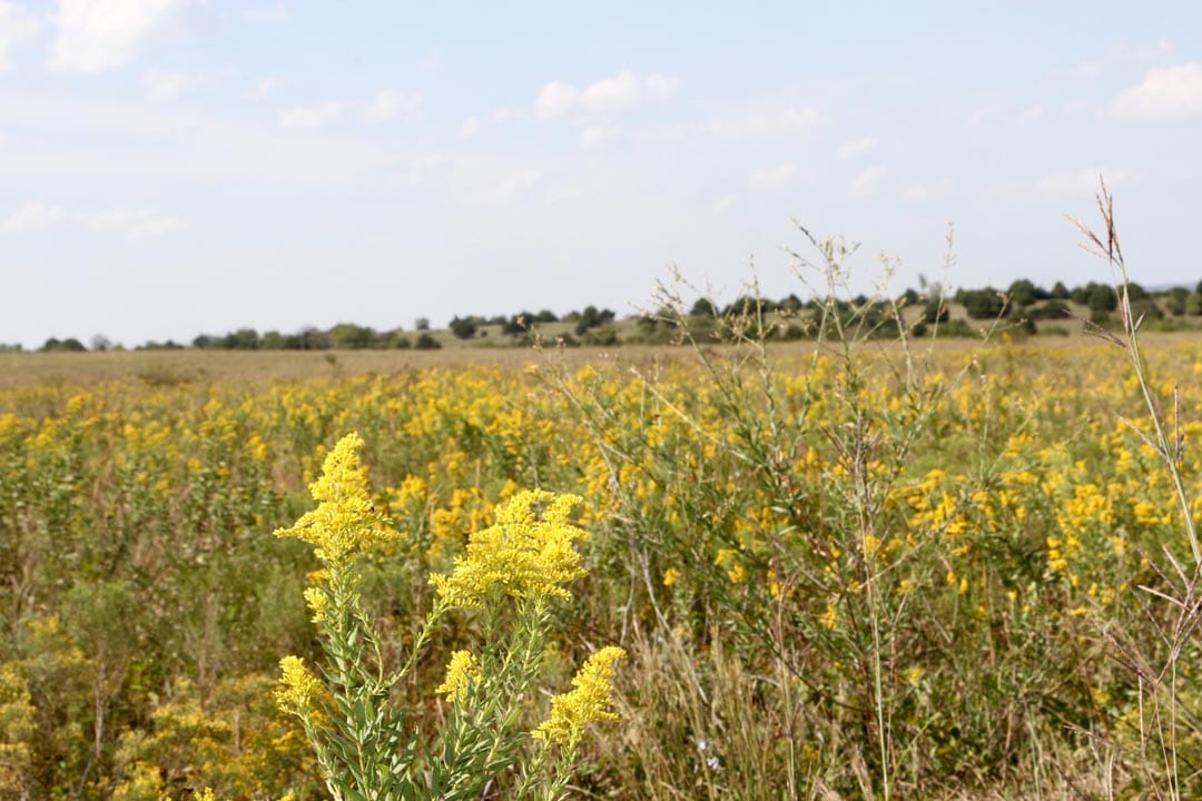 Cowboy Meadows Tract 21 photo 4