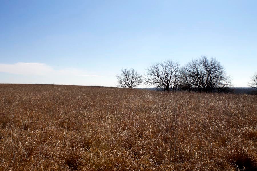 Cowboy Meadows Tract 21 photo 6