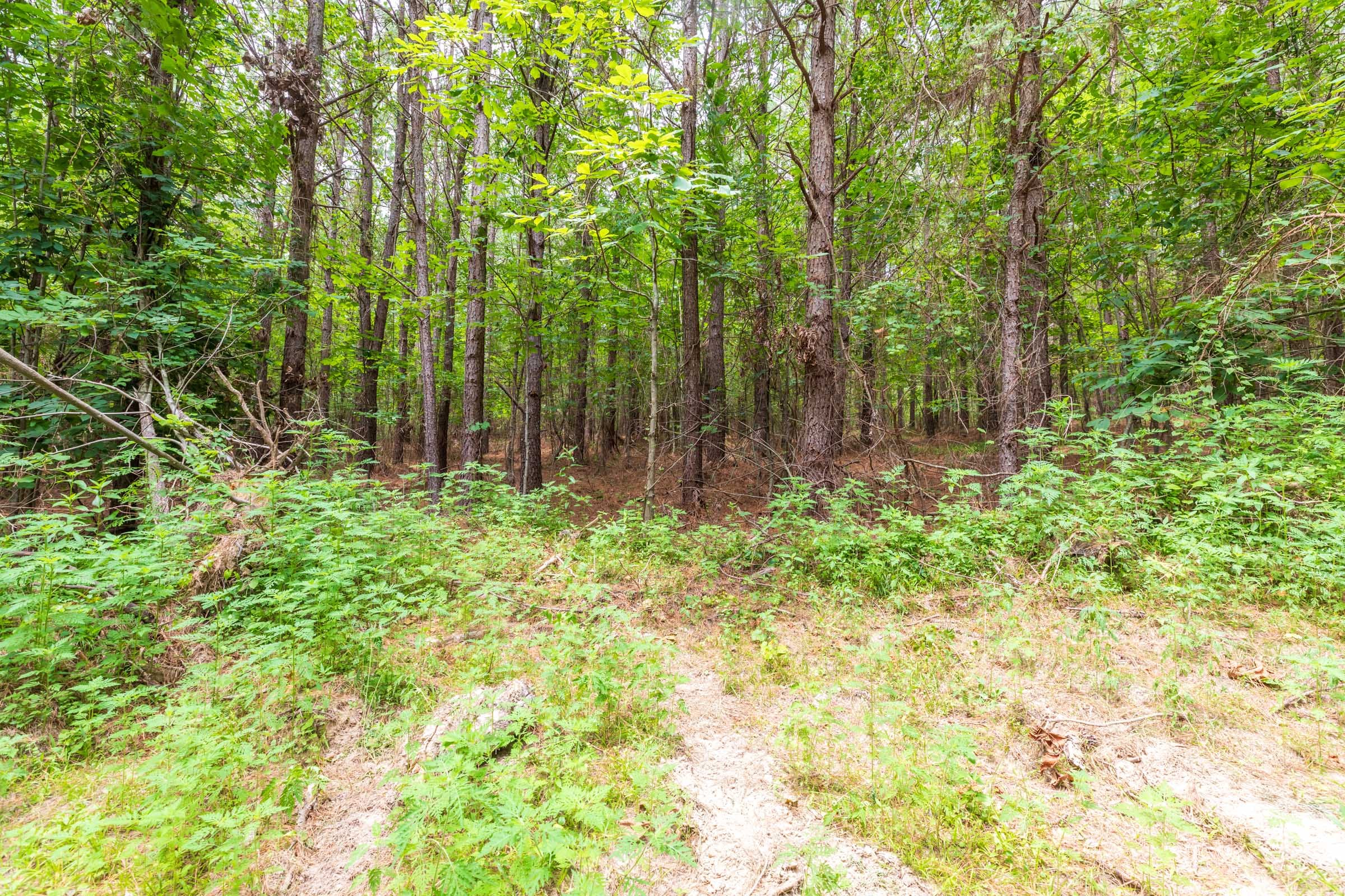 Whiskey Ridge Tract 32 photo 3