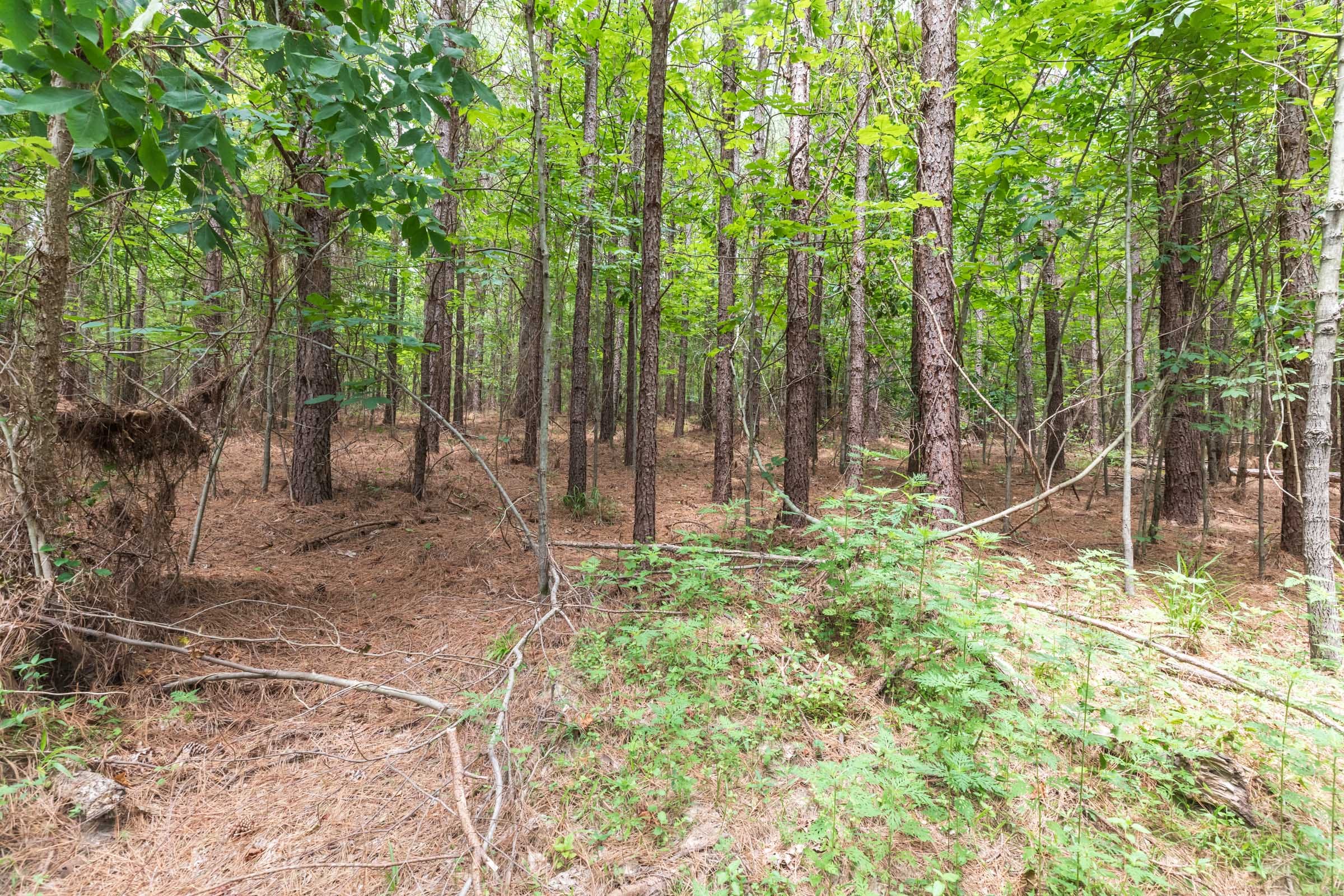Whiskey Ridge Tract 32 photo 4