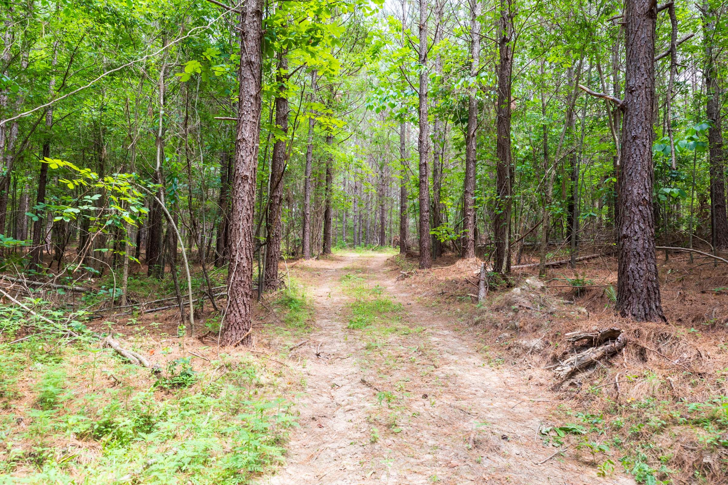 Whiskey Ridge Tract 32 photo 2