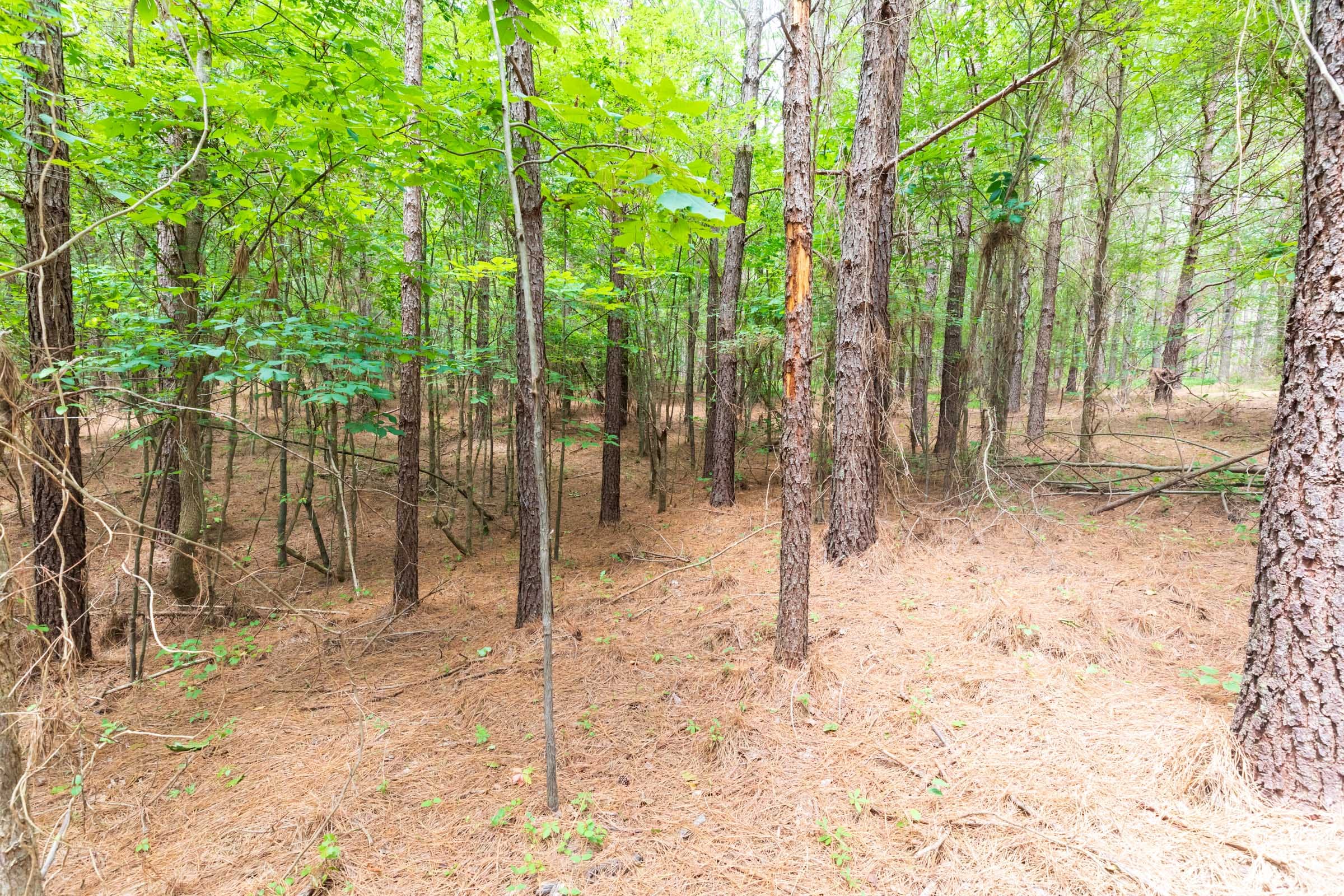 Whiskey Ridge Tract 32 photo 1