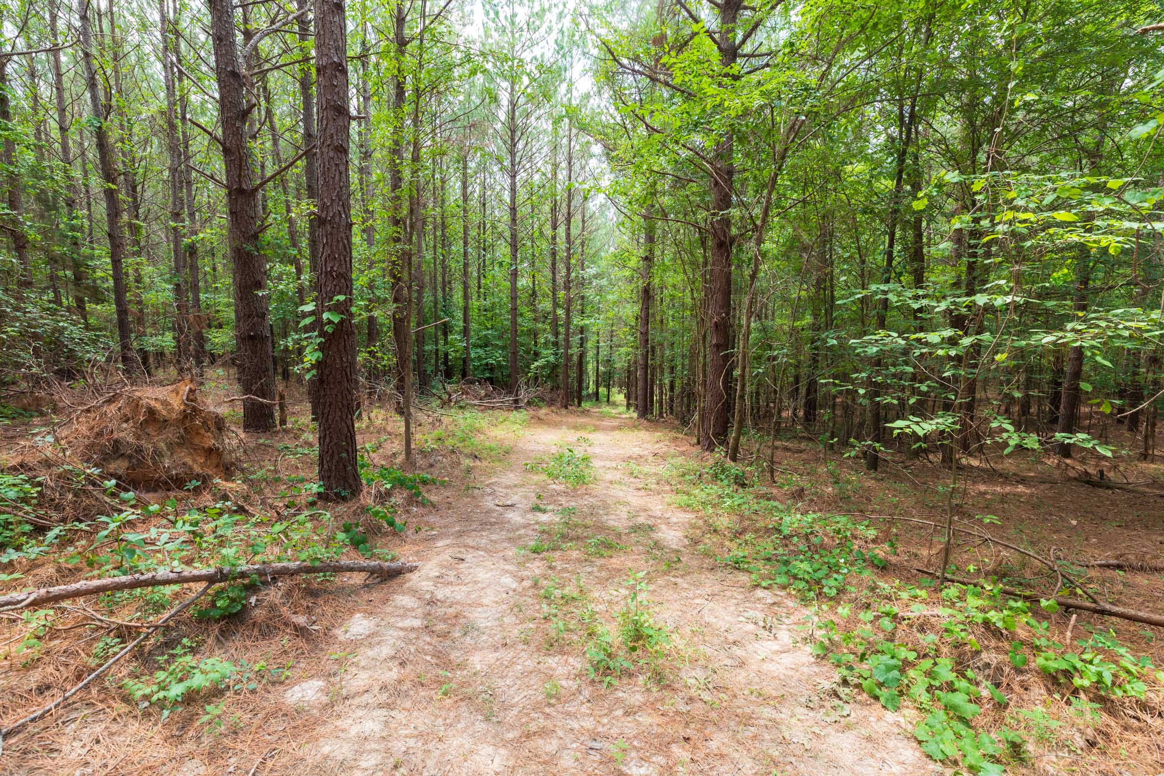 Whiskey Ridge Tract 32 photo 5