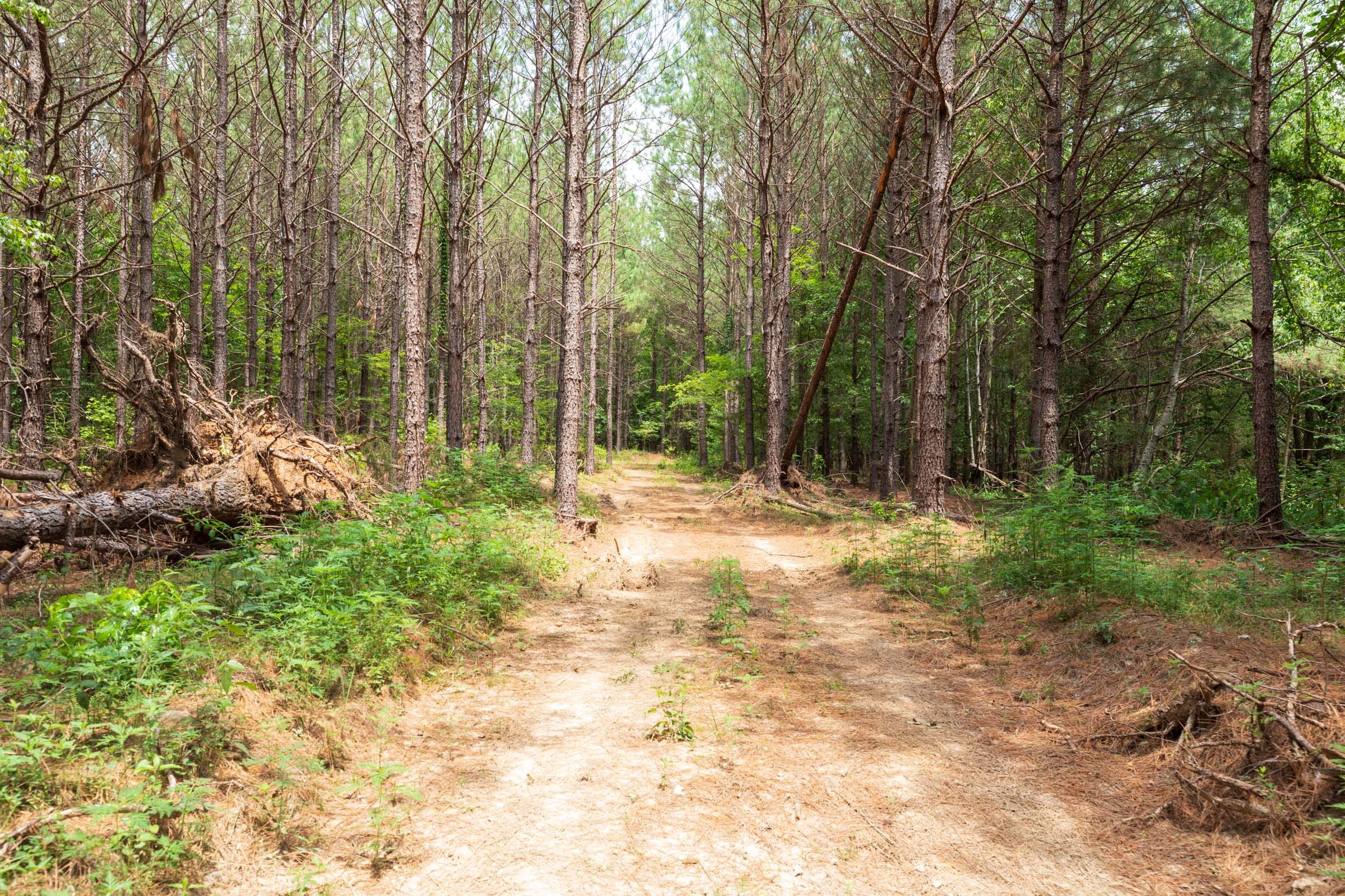 Whiskey Ridge Tract 32 photo 10