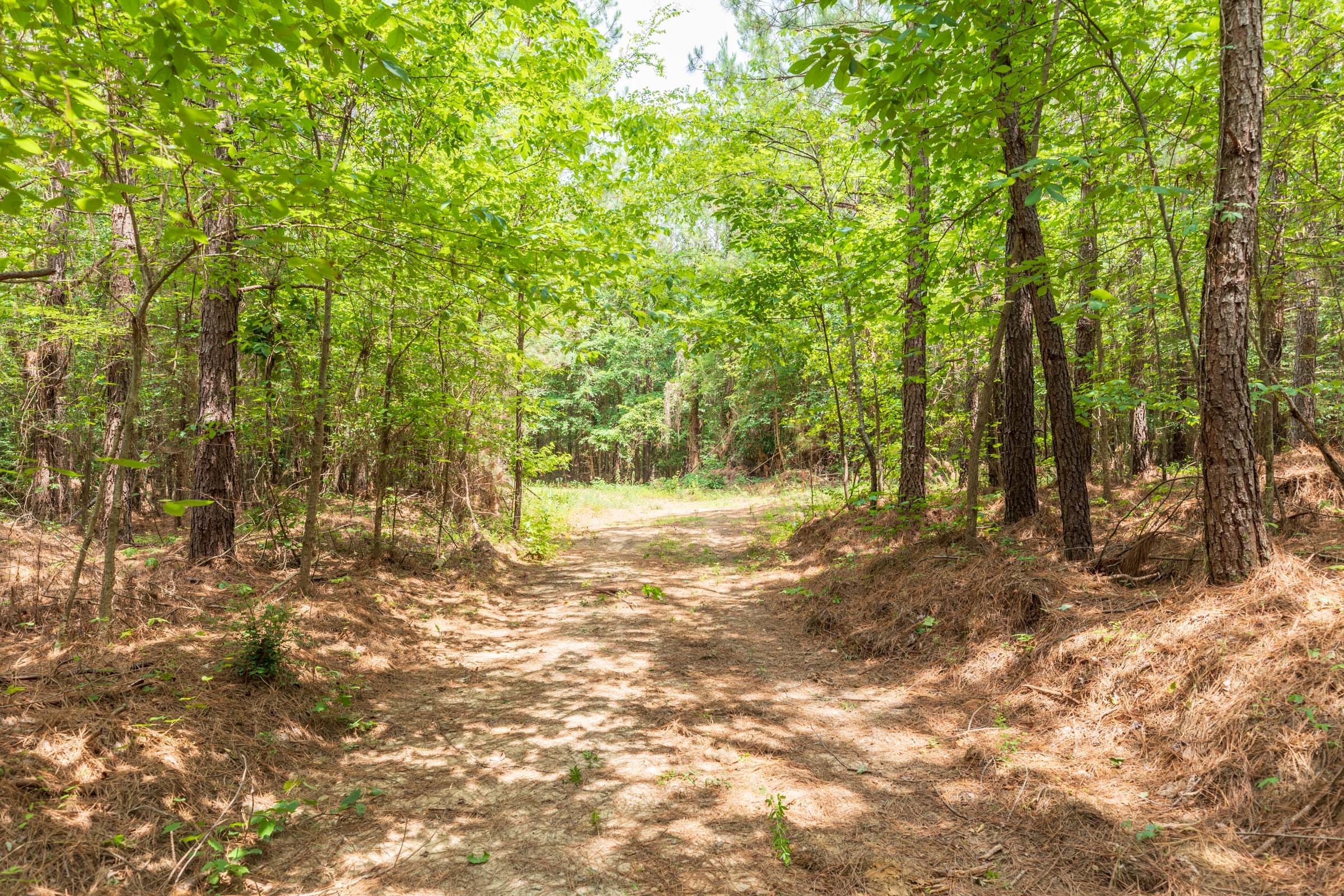 Whiskey Ridge Tract 32 photo 9