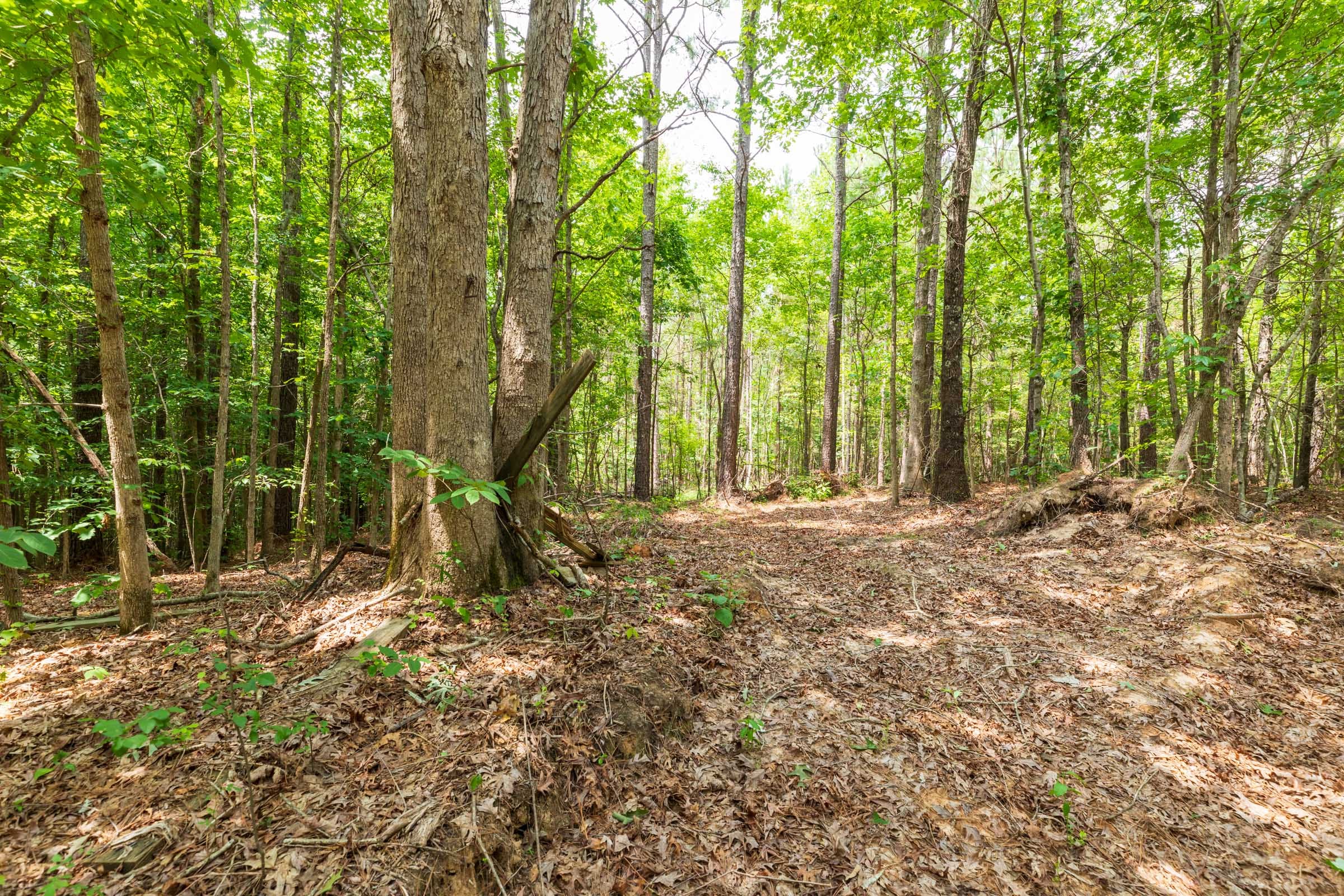Whiskey Ridge Tract 32 photo 11