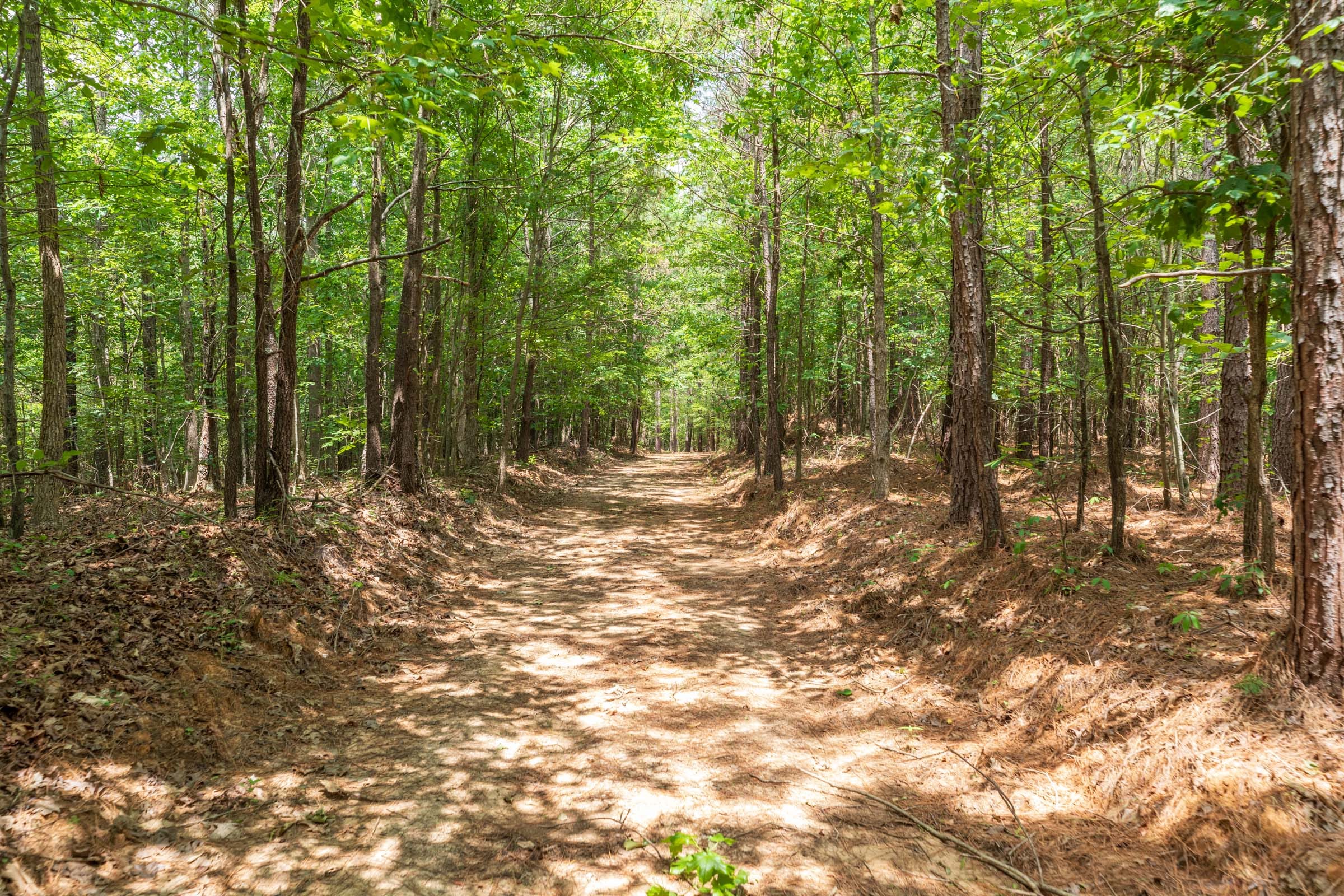 Whiskey Ridge Tract 32 photo 15