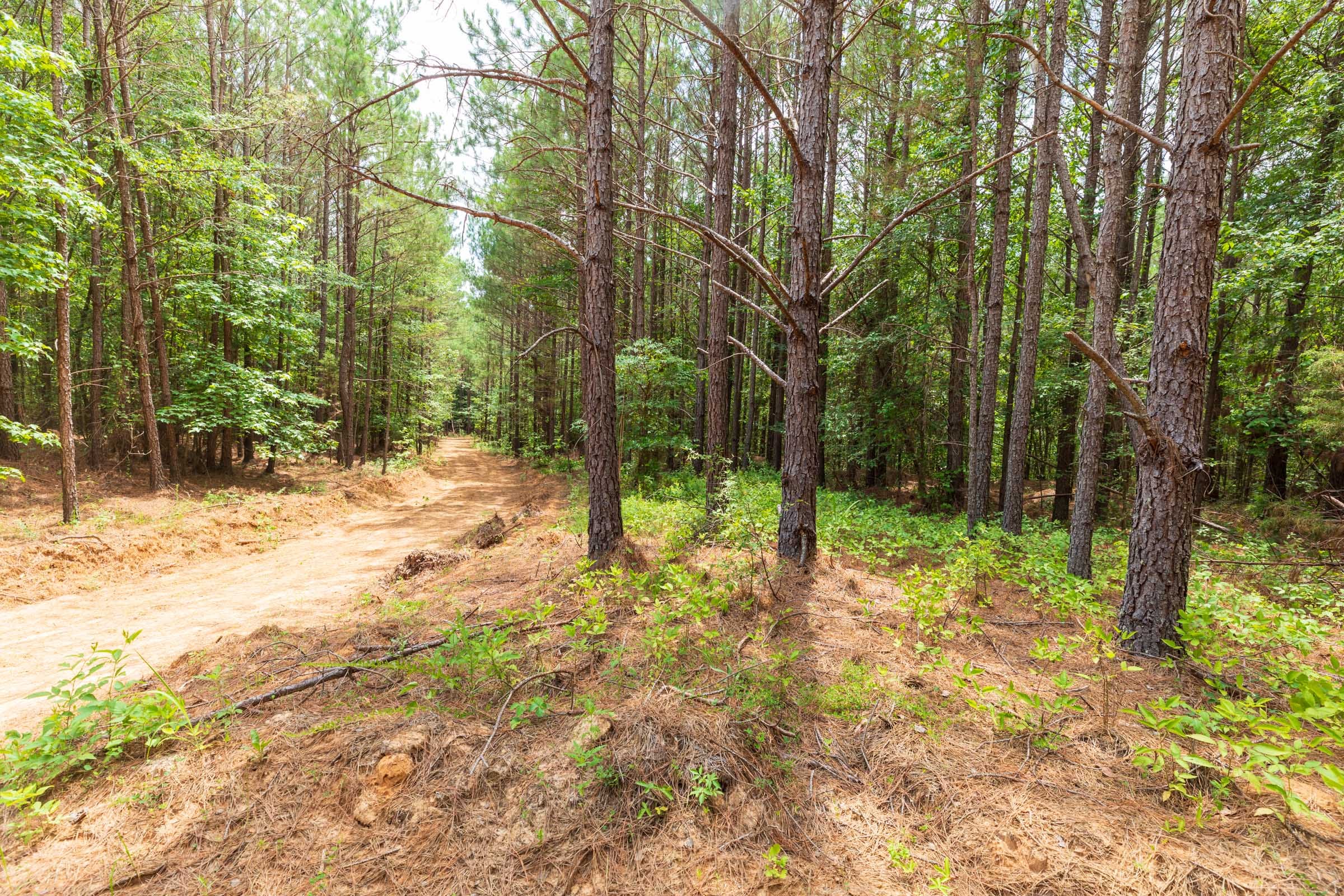 Whiskey Ridge Tract 32 photo 12