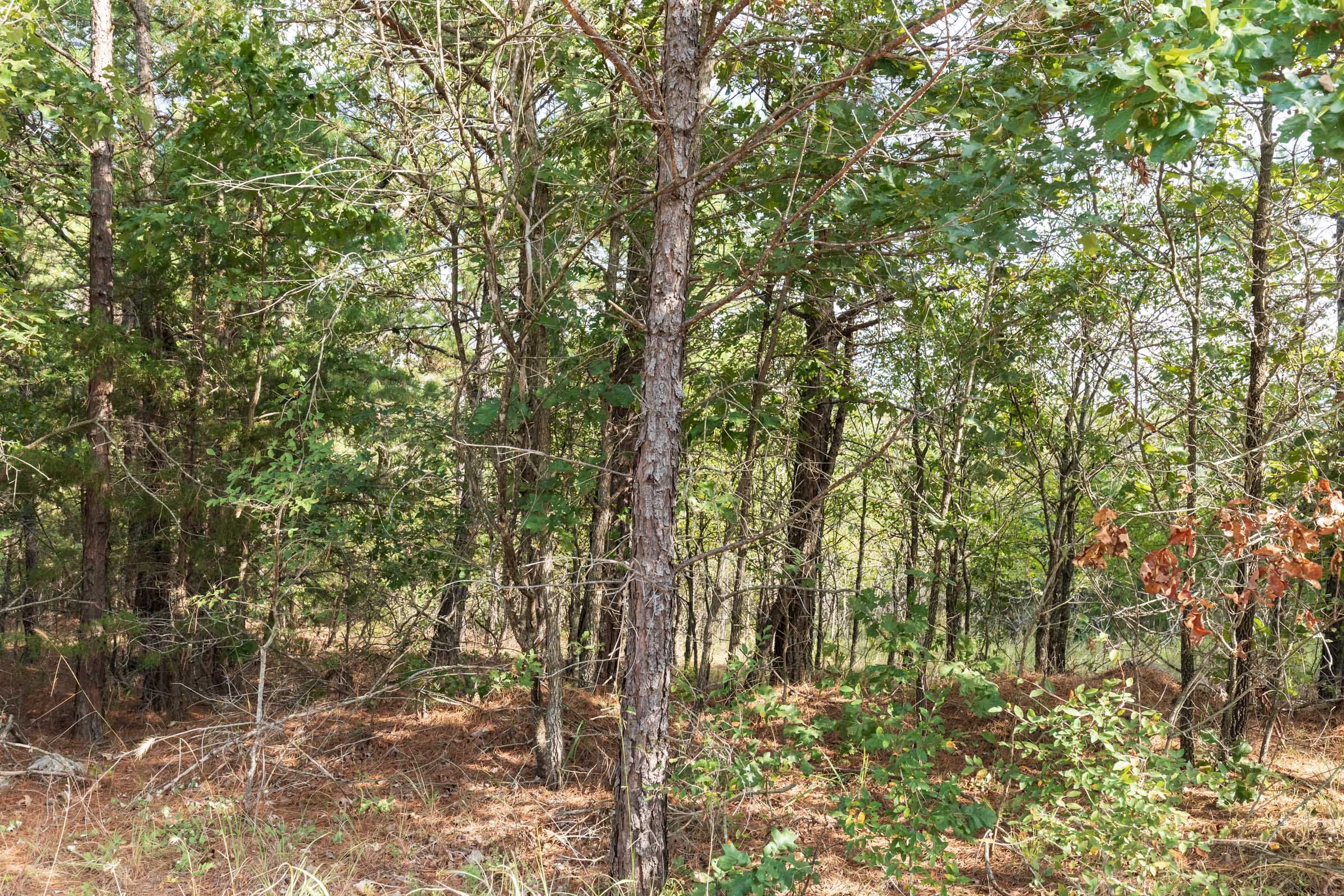 Stone Bridge Phase V Tract 400 photo 6