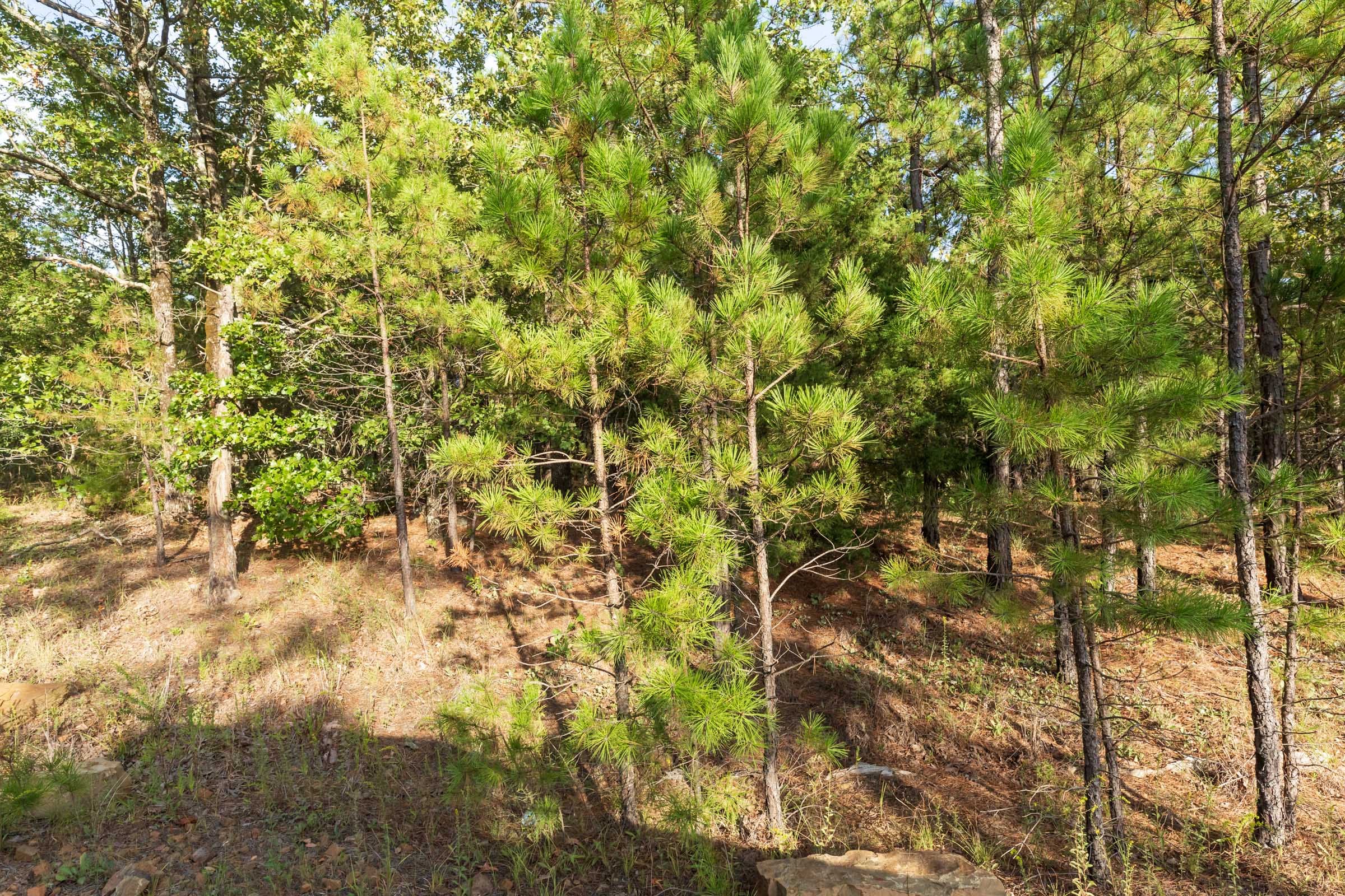 Stone Bridge Phase V Tract 384 photo 15