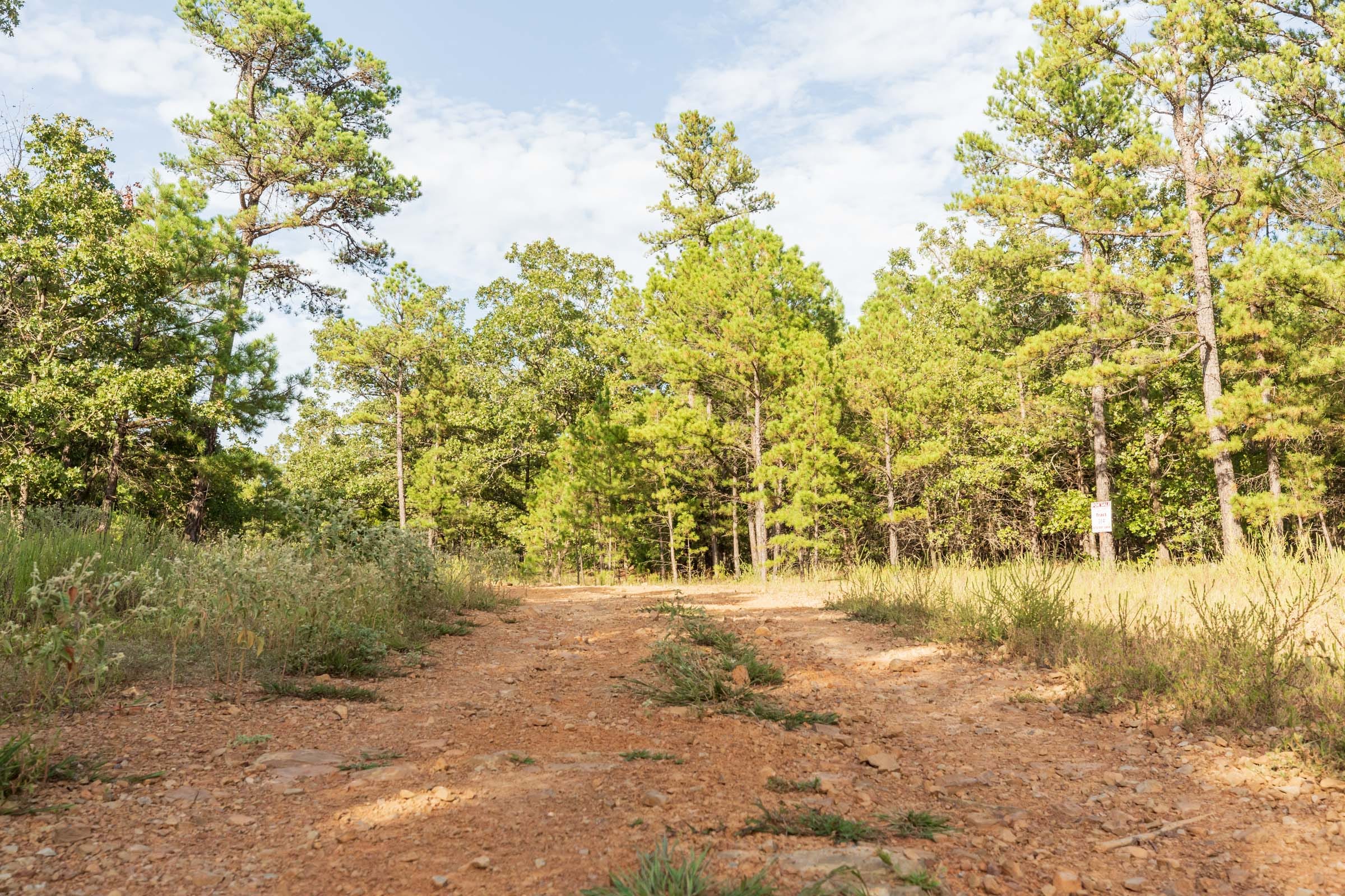 Stone Bridge Phase V Tract 384 photo 16