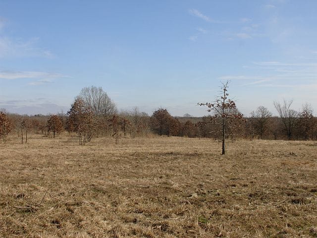 Tranquility Farms Tract 10 photo 2