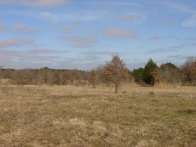 Tranquility Farms Tract 10 photo 3