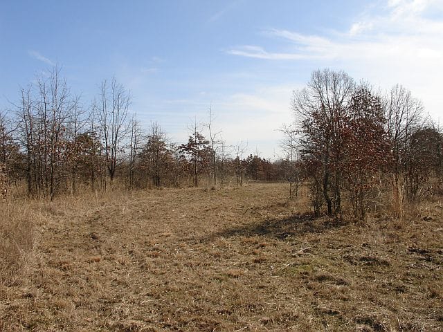 Tranquility Farms Tract 10 photo 4