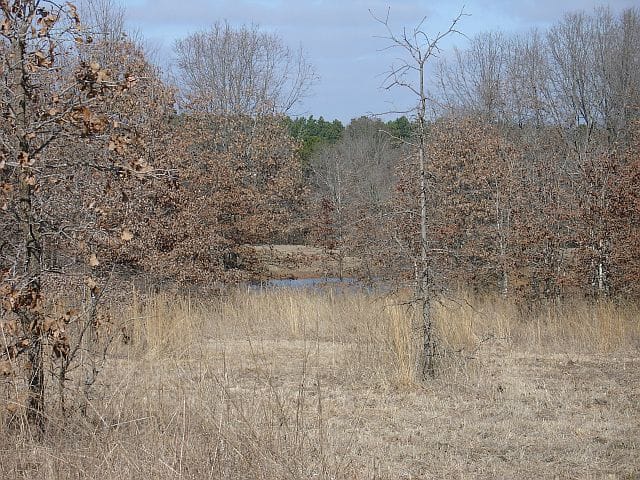 Tranquility Farms Tract 10 photo 5