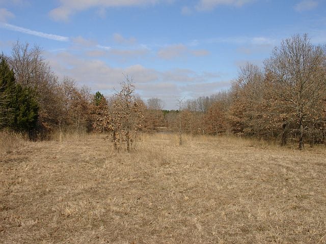 Tranquility Farms Tract 10 photo 6