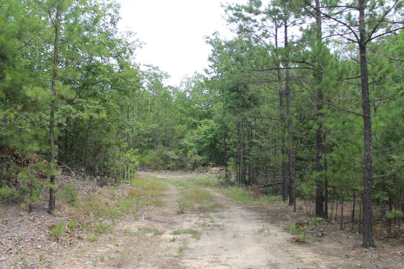 Trophy Ridge Phase III Tract 7 photo 1