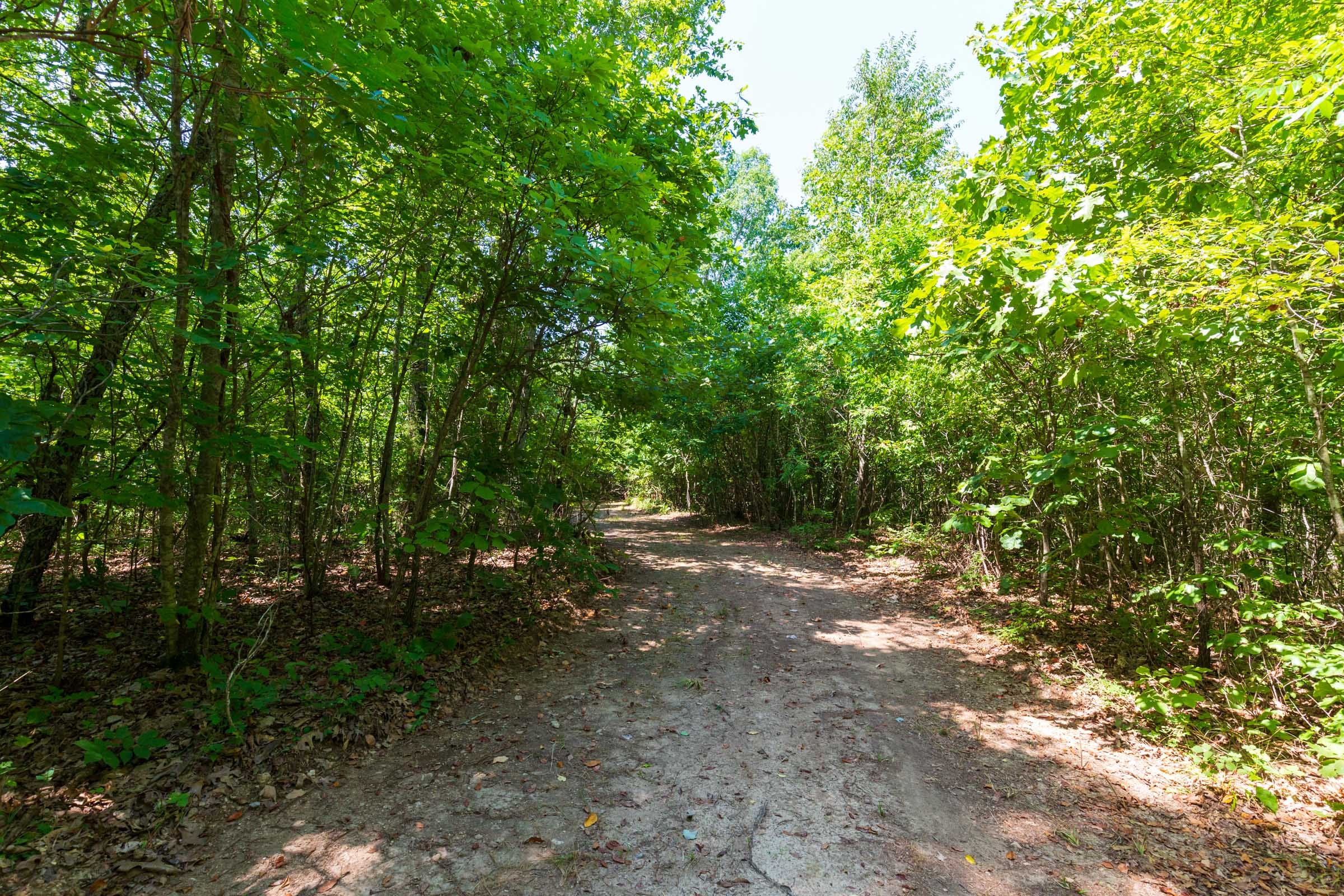 Cypress Ridge Tract 28 photo 1