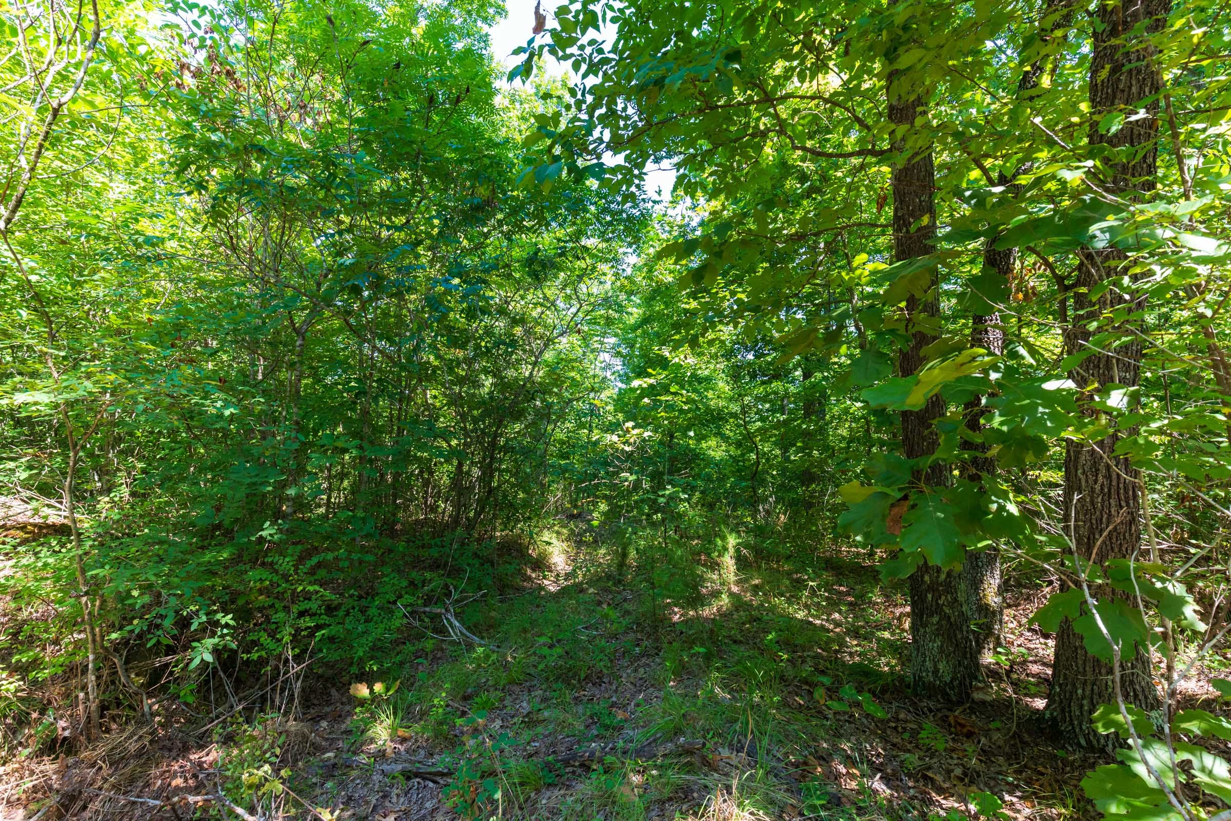 Cypress Ridge Tract 28 photo 7
