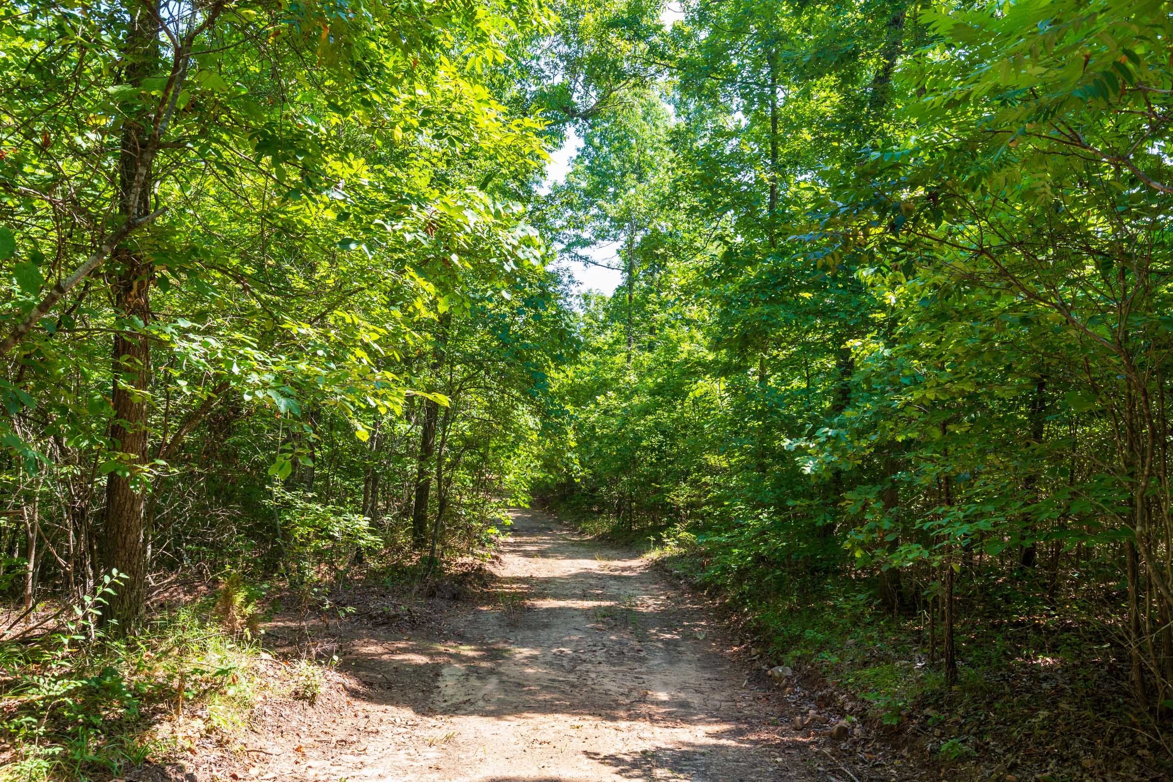 Cypress Ridge Tract 28 photo 4