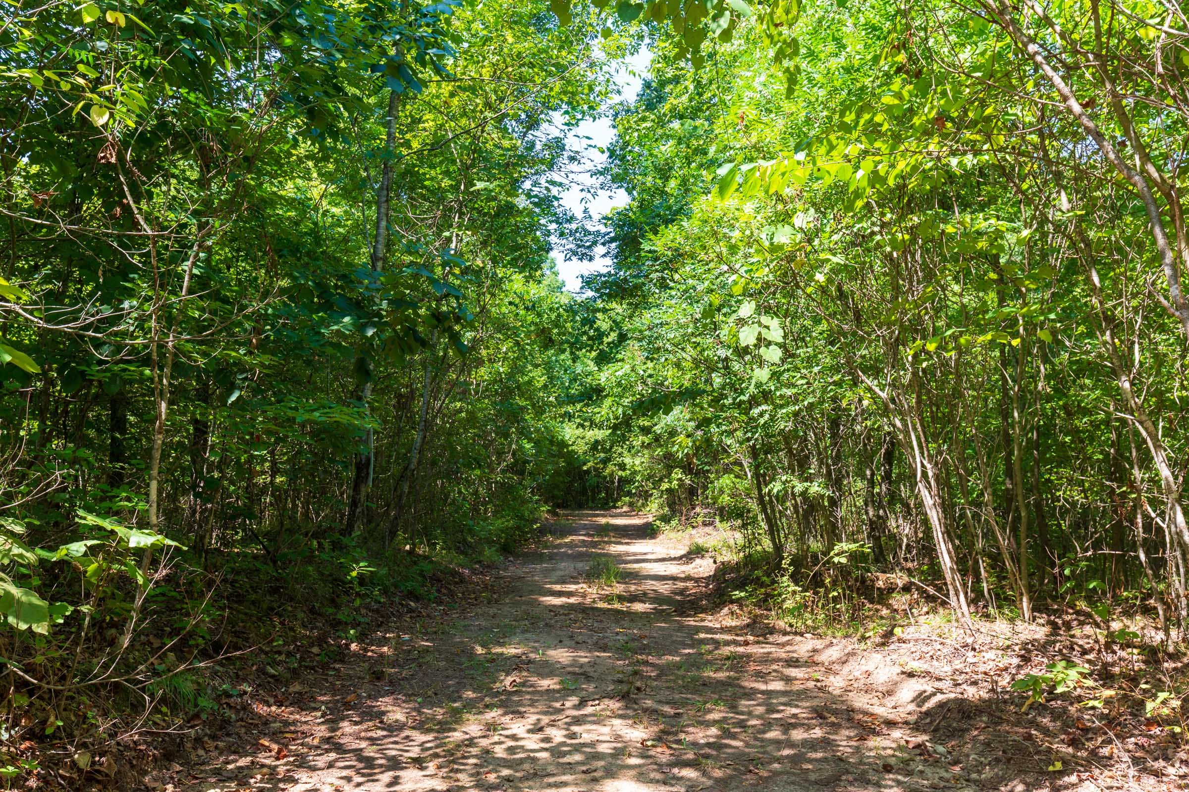 Cypress Ridge Tract 28 photo 6