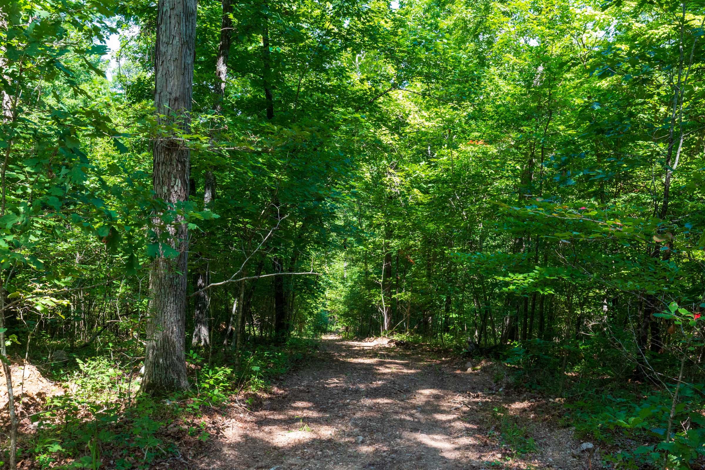 Cypress Ridge Tract 28 photo 8
