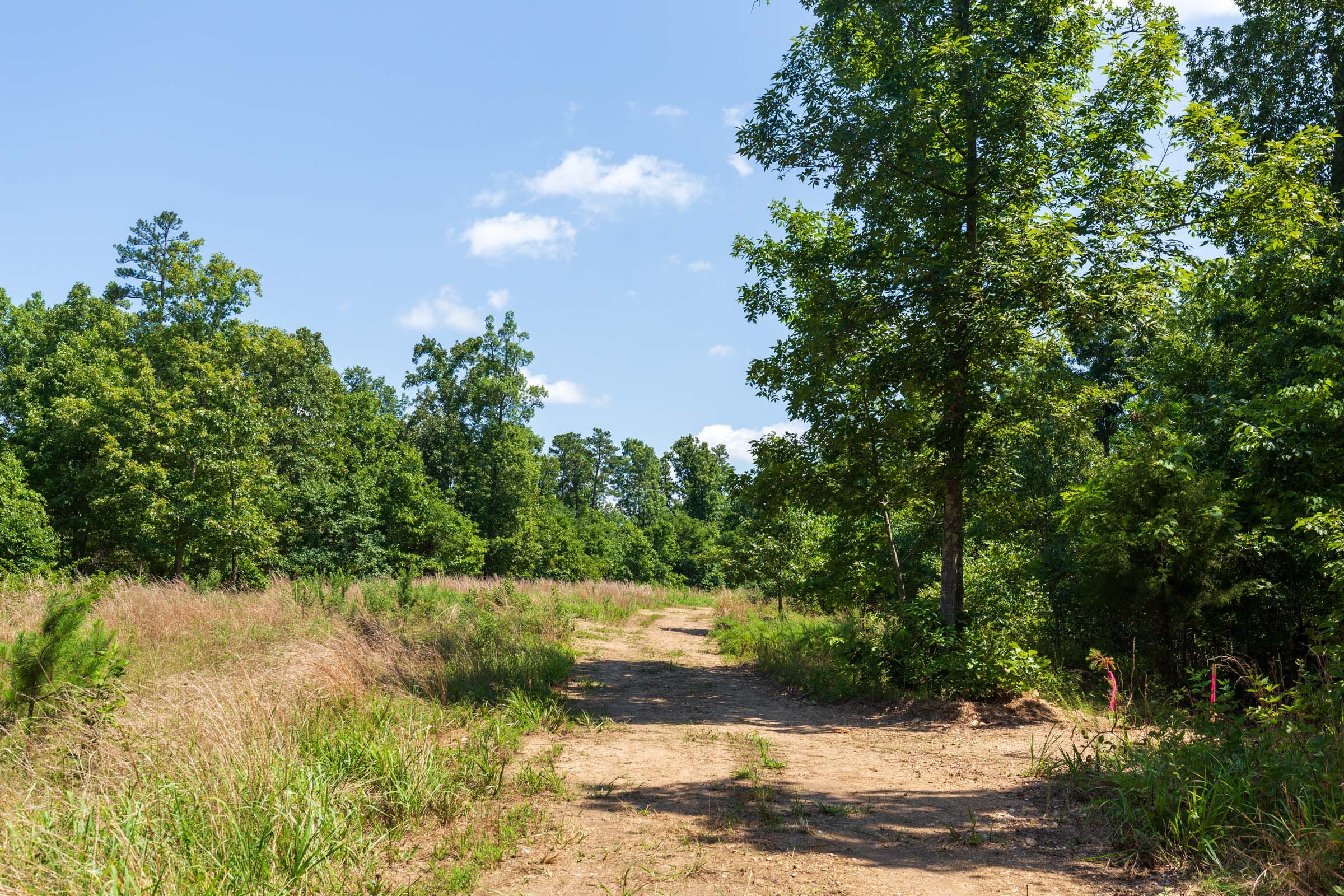 Cypress Ridge Tract 28 photo 10